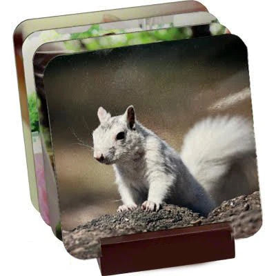 Coaster Holder image 1