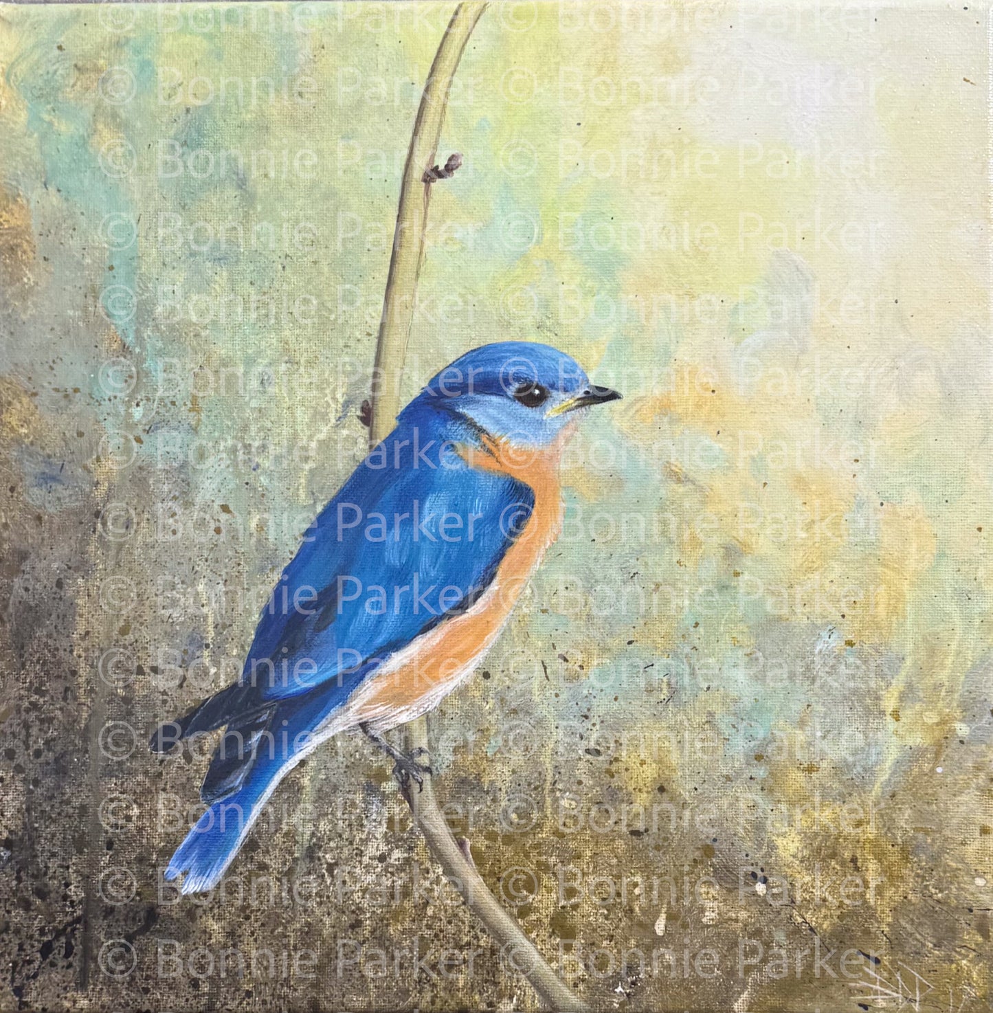 Bluebird on a Branch by Bonnie Parker
