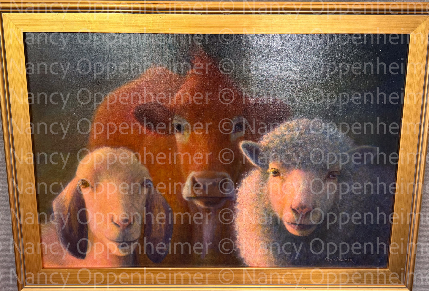 The Committee by Nancy Oppenheimer