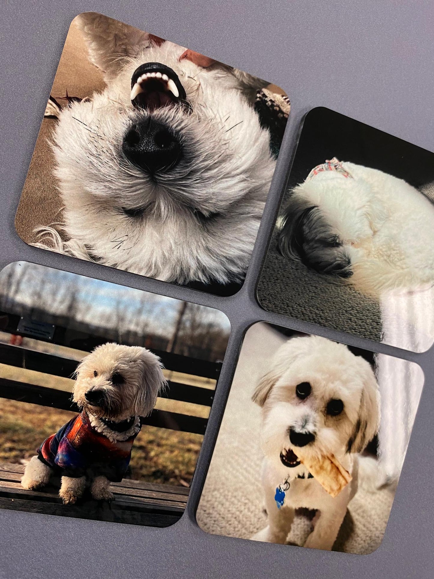 Coasters