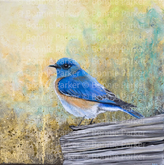 Bluebird on a Log by Bonnie Parker