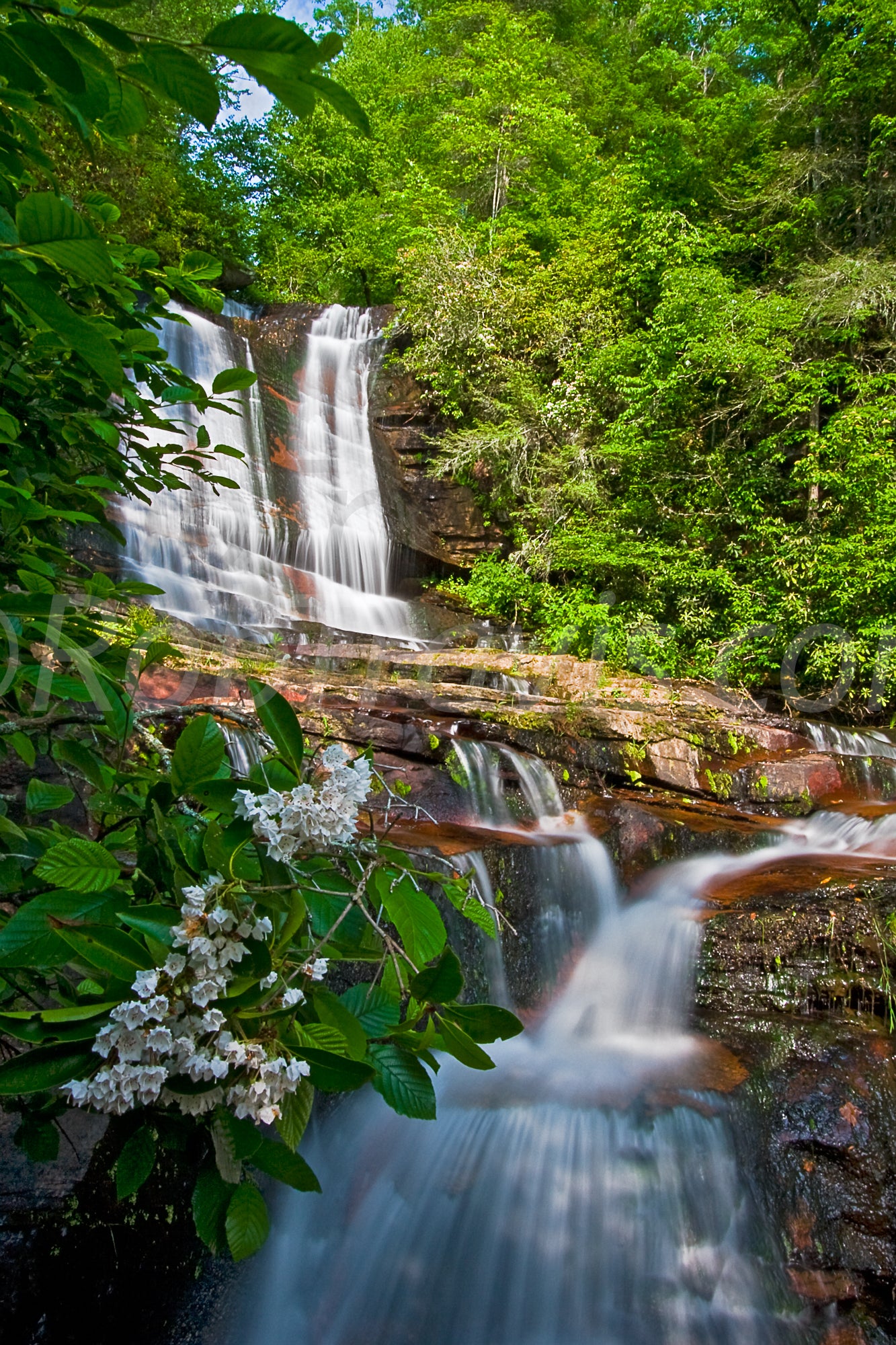 Connestee Falls - Portrait View - by Rob Travis
