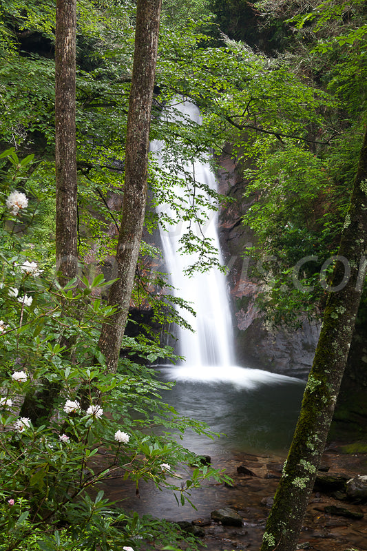 Courthouse Falls - Portrait View - by Rob Travis