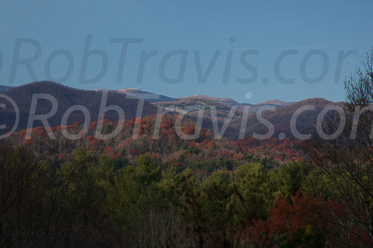 Dragon Back by Rob Travis