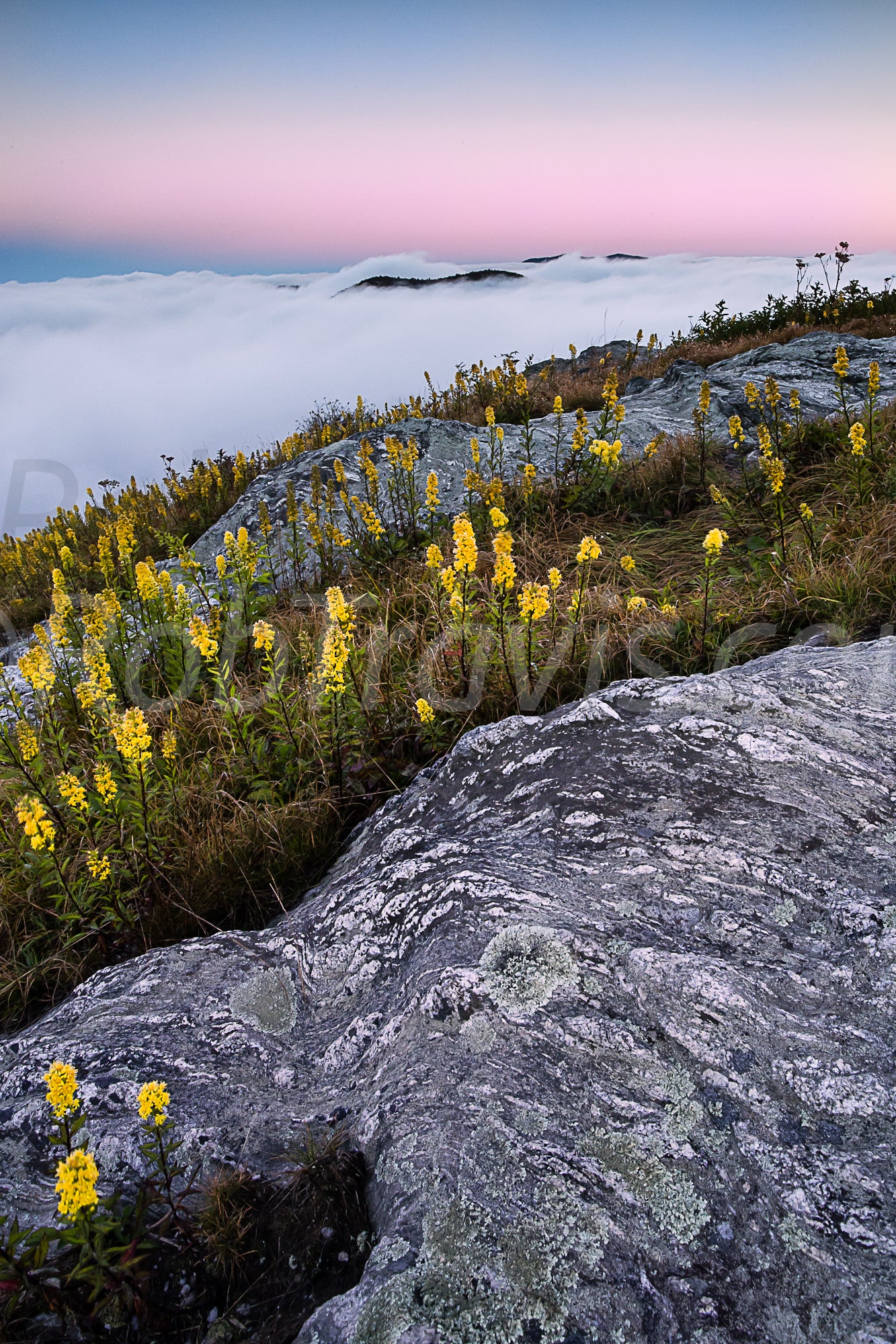 Earthly Layers by Rob Travis
