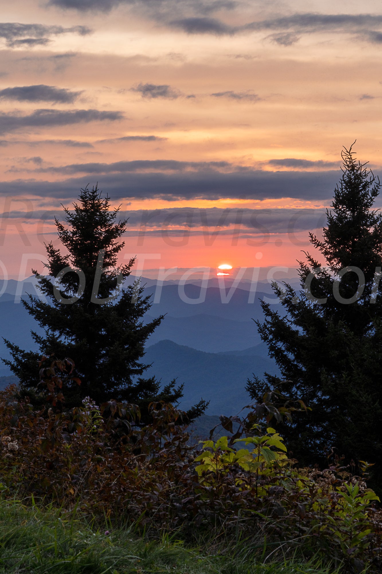 End Of Day - Portrait - by Rob Travis