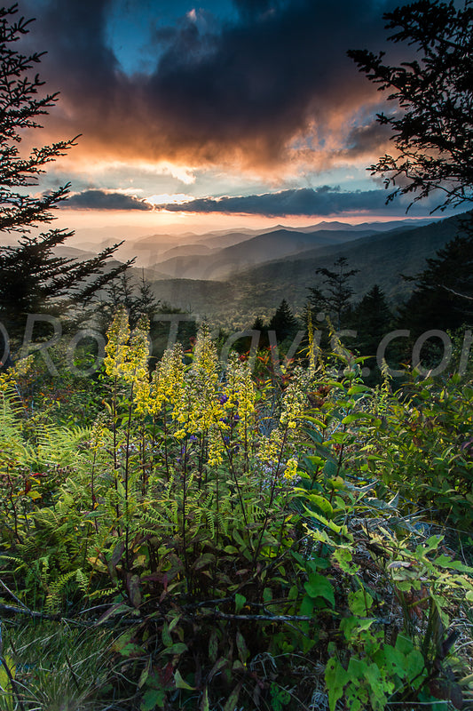 Ephemeral Light by Rob Travis