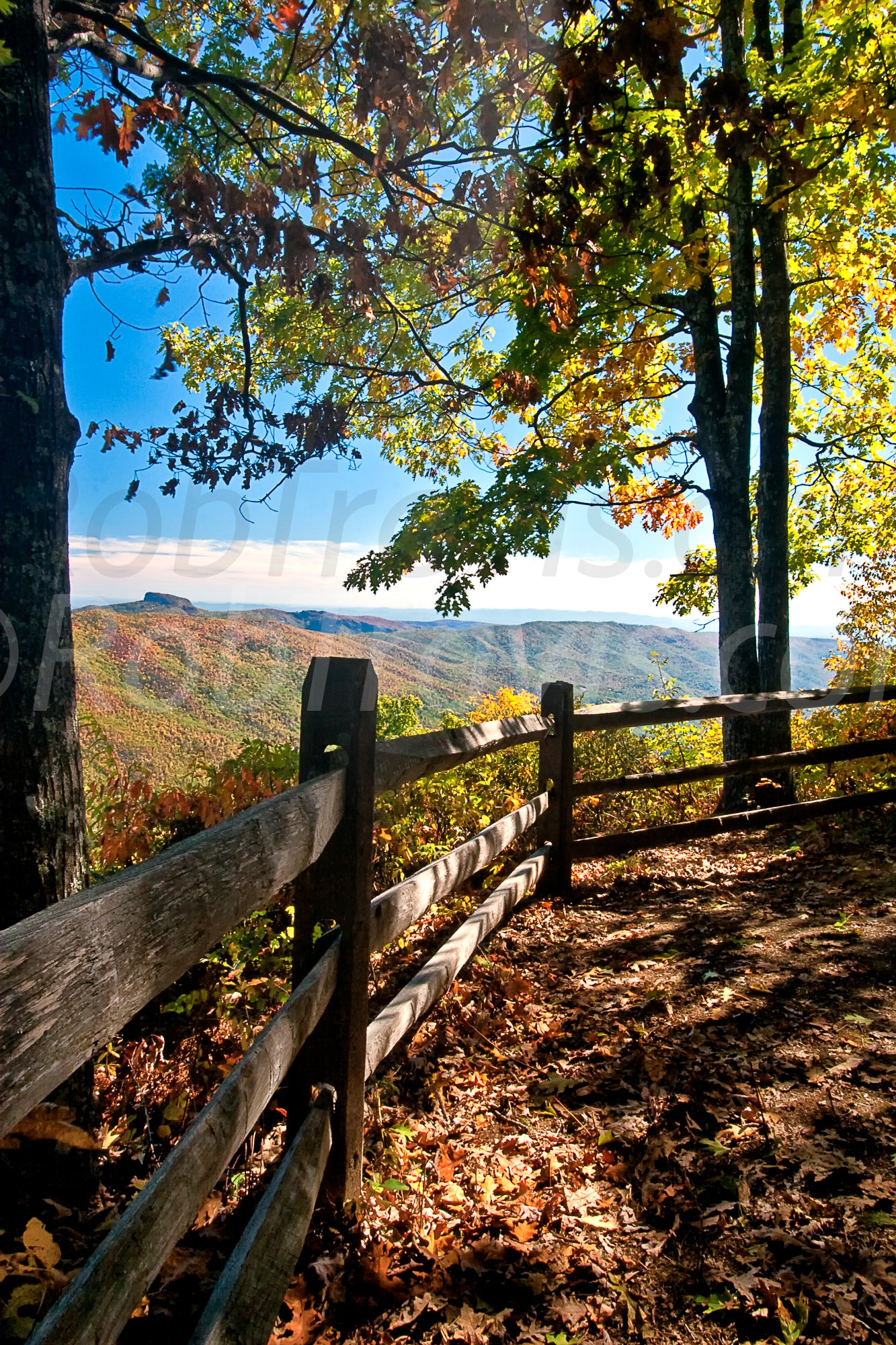 Fall Fence by Rob Travis