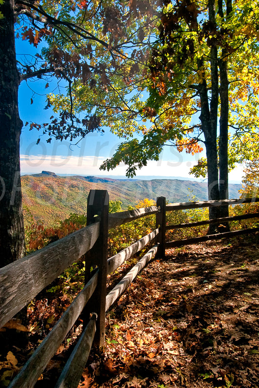 Fall Fence by Rob Travis