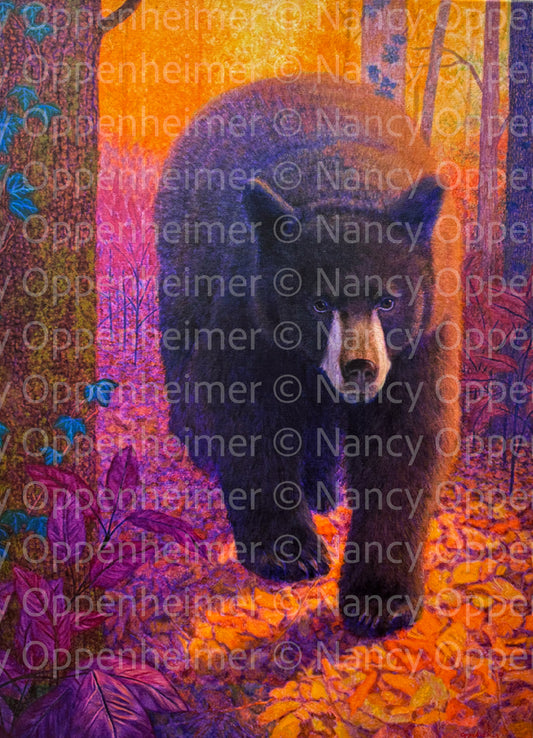 Finding The Way by Nancy Oppenheimer