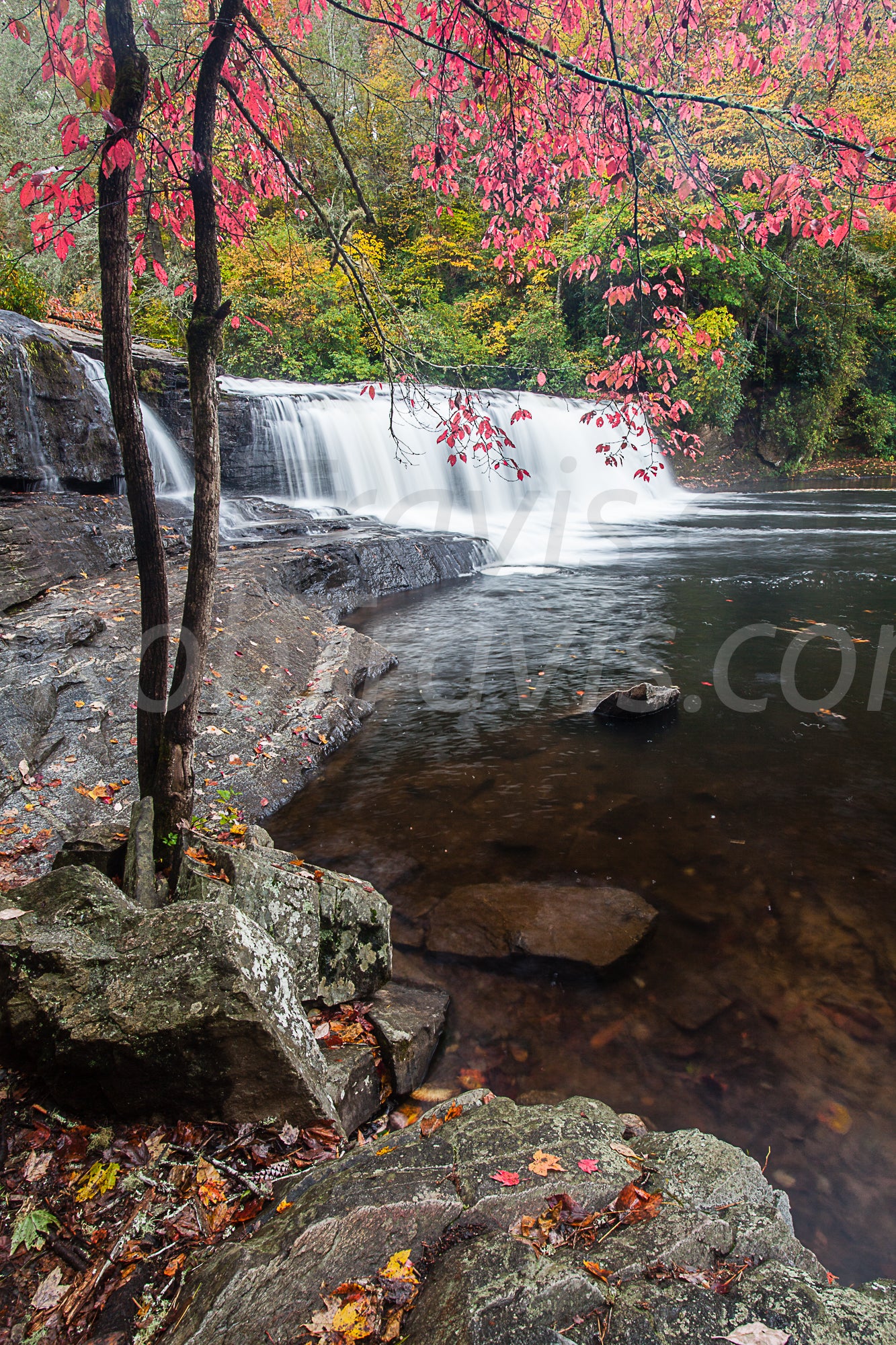 Hooker Falls - Portrait View - by Rob Travis