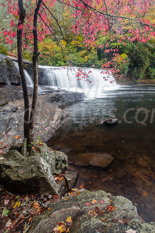 Hooker Falls - Portrait View - by Rob Travis