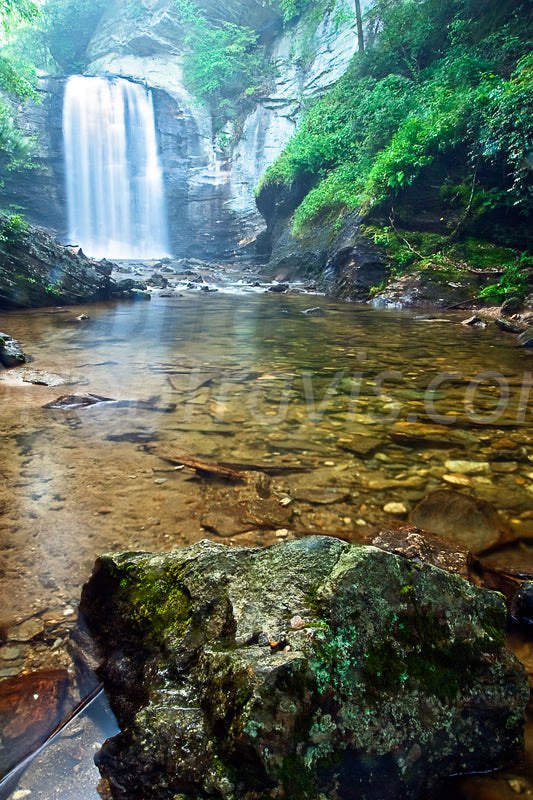 Looking Glass Falls - Portrait View - by Rob Travis