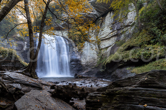 Looking Glass Falls - Landscape View - by Rob Travis