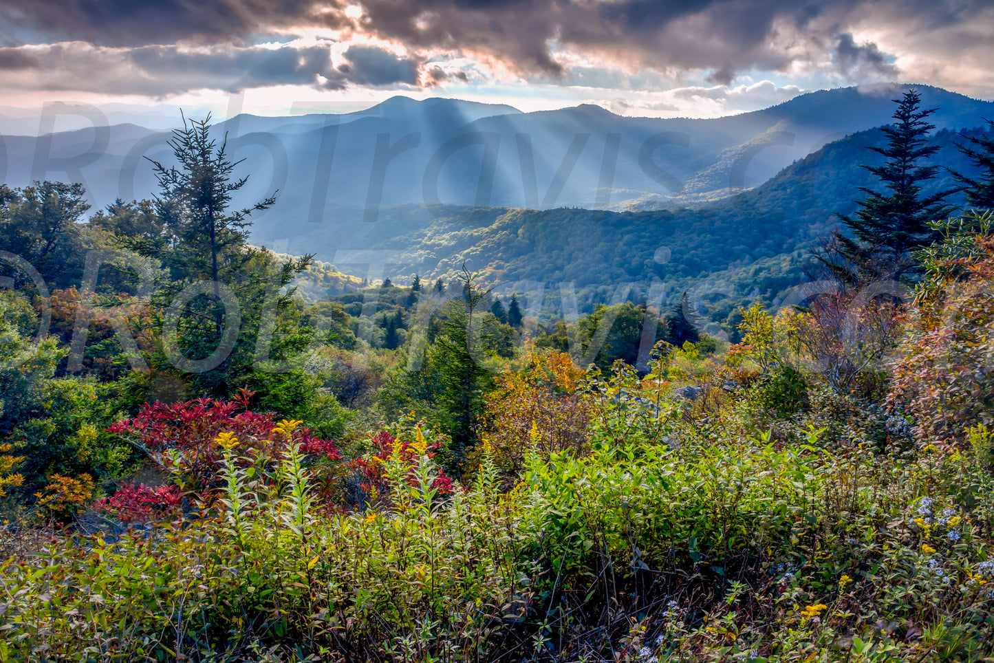 Mountain Majesty - by Rob Travis