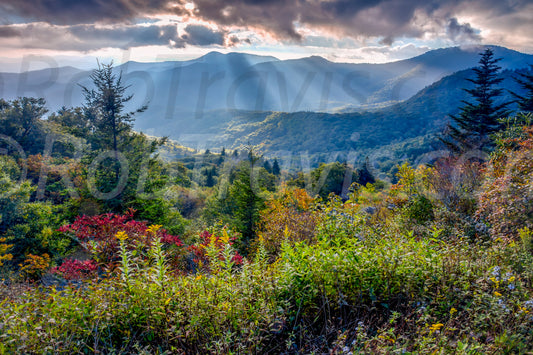 Mountain Majesty - by Rob Travis