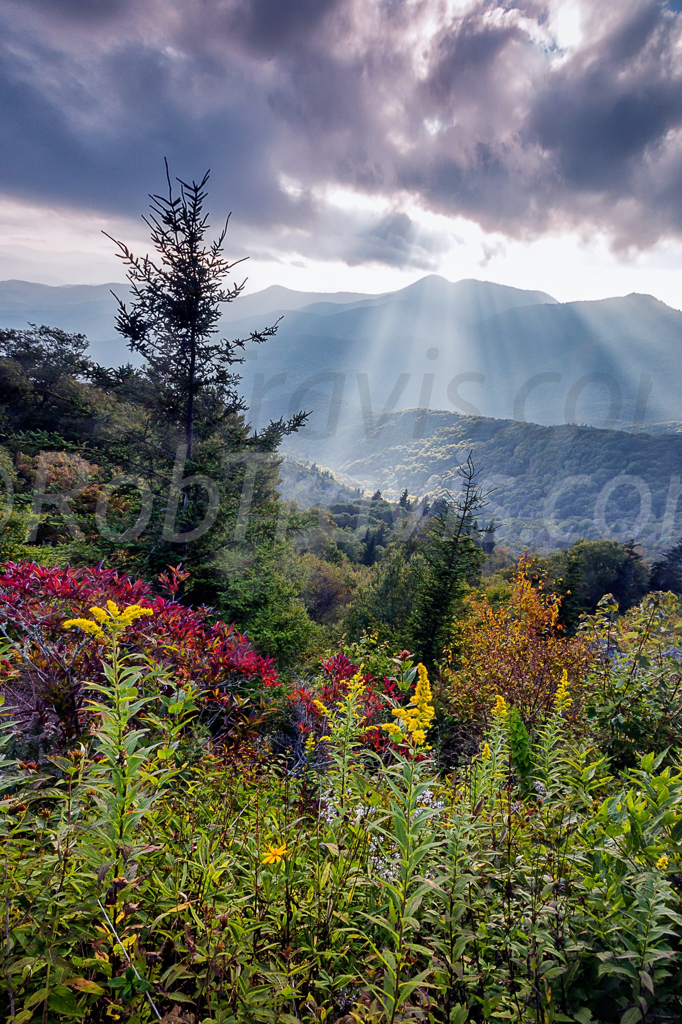 Mountain Majesty - Portrait - by Rob Travis