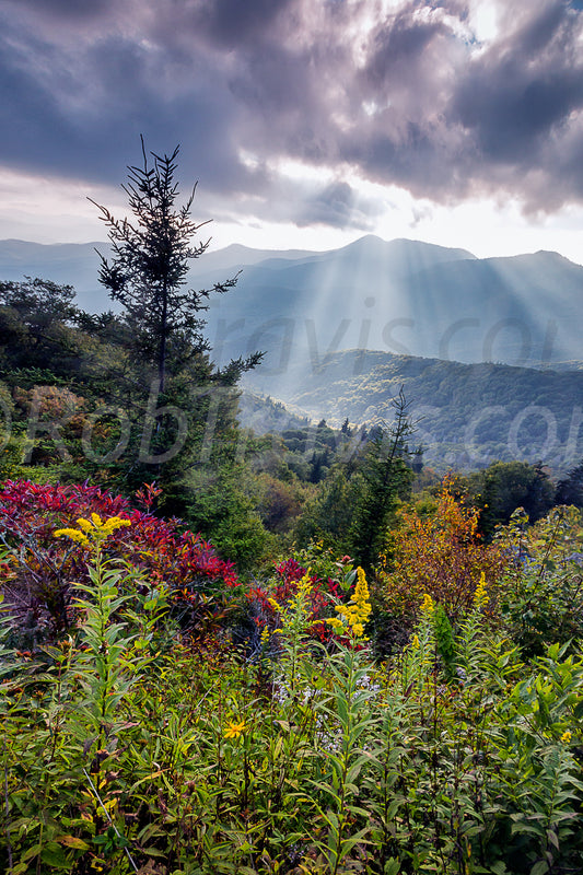 Mountain Majesty - Portrait - by Rob Travis