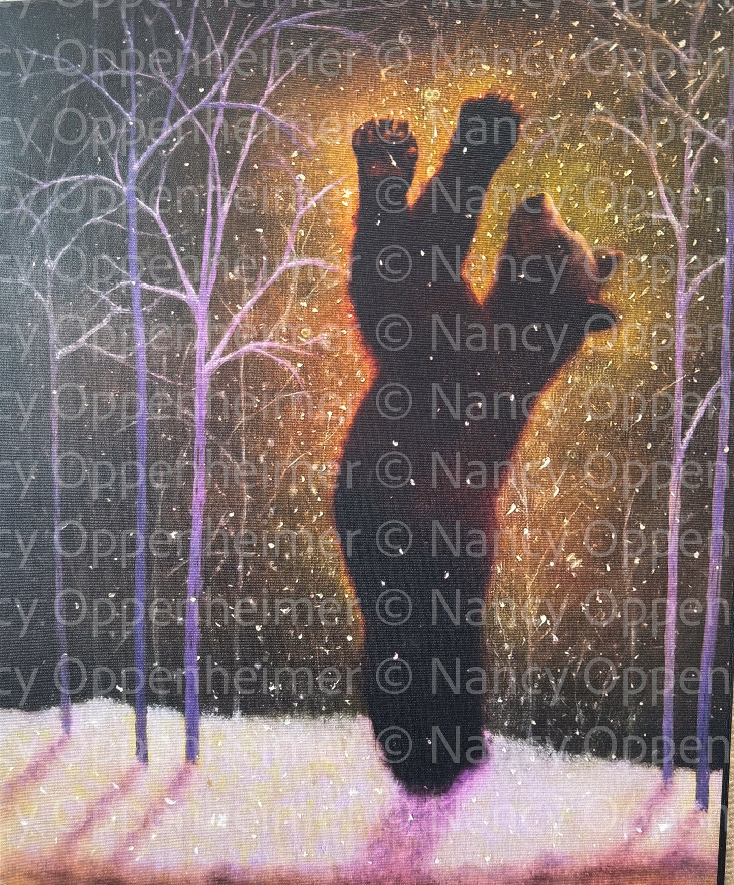 Night Magic Catching Time by Nancy Oppenheimer