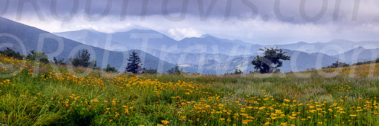 Pano // Engine Gap by Rob Travis