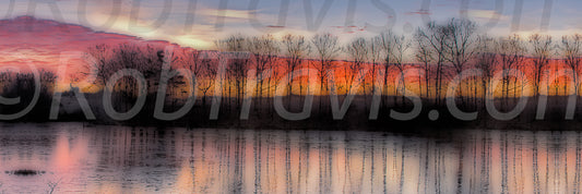 Pano // Wetlands by Rob Travis