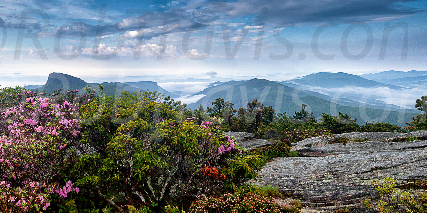 Pano // Table Rock by Rob Travis