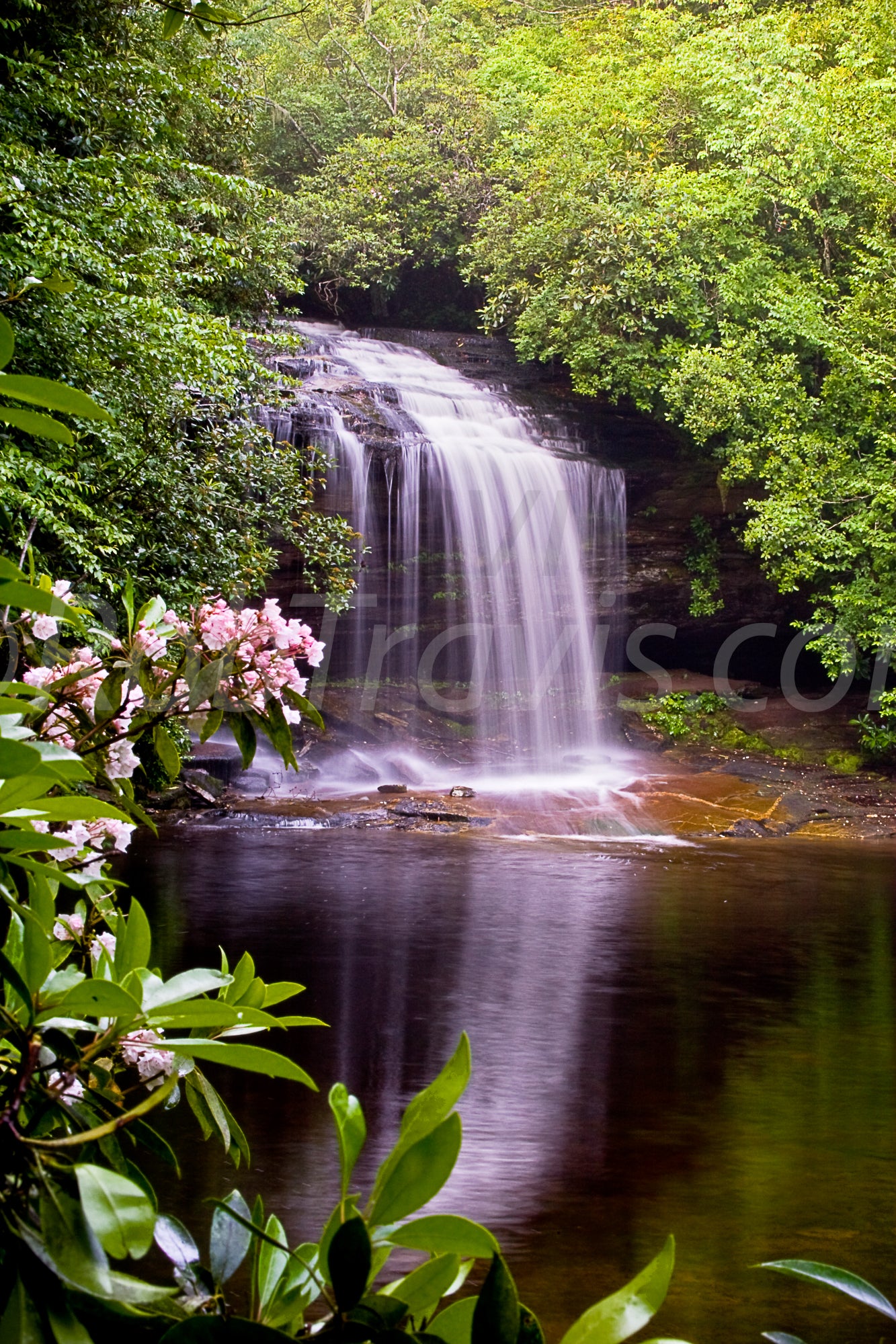 Schoolhouse Falls - Portrait View - by Rob Travis