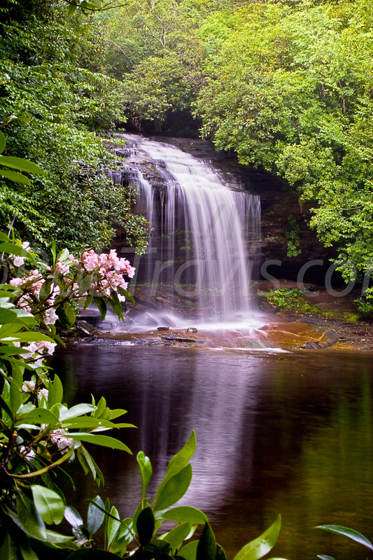 Schoolhouse Falls - Portrait View - by Rob Travis