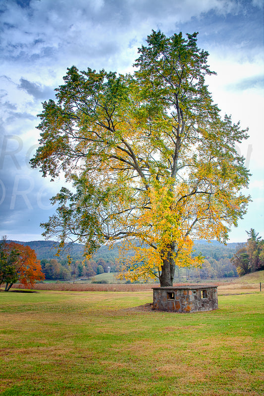 Spring House Blended by Rob Travis
