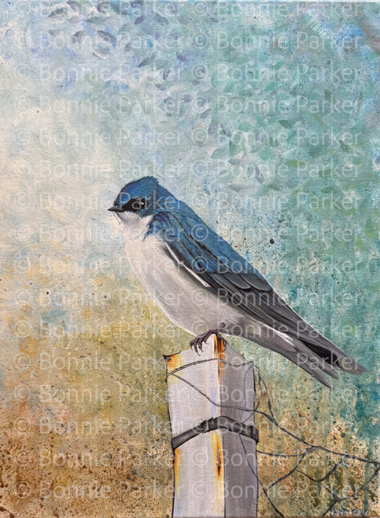 Swallow by Bonnie Parker