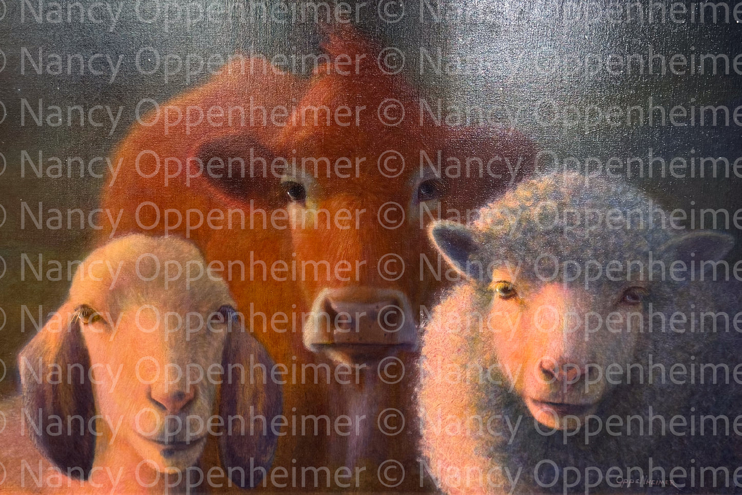 The Committee by Nancy Oppenheimer