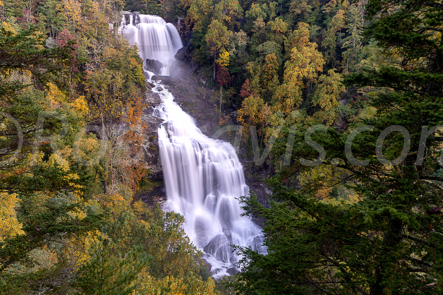 Whitewater Falls - Landscape View by Rob Travis