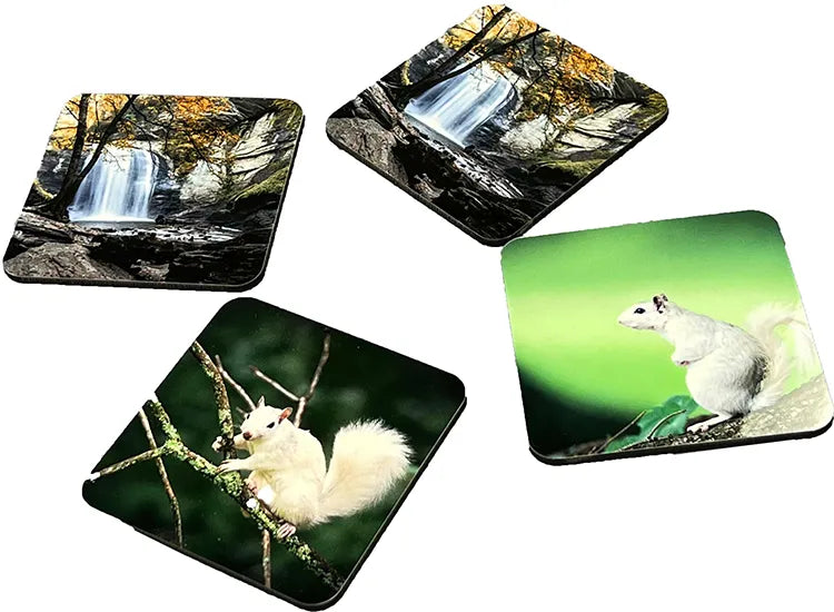Coasters image 1