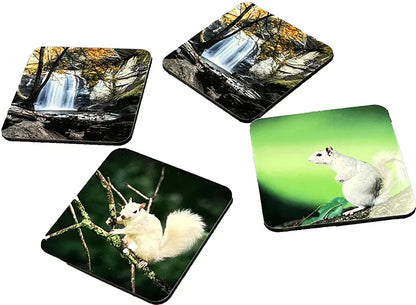 Coasters image 1